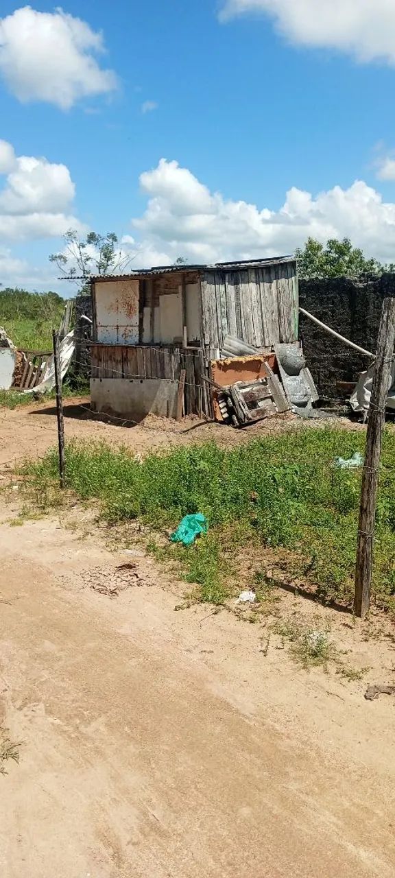 Terreno na área verde  - Foto 4