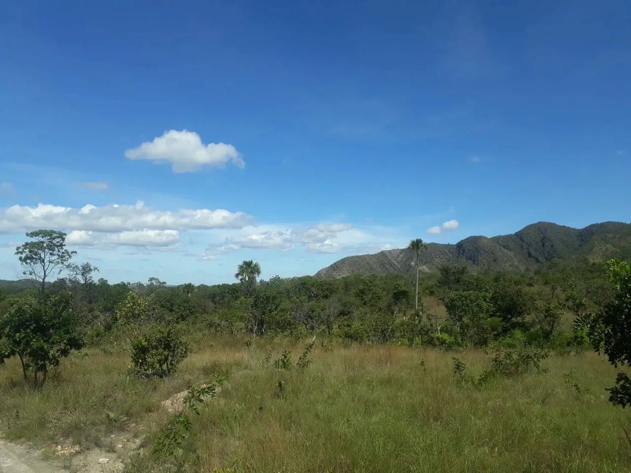 VENDE-SE FAZENDA COM 120 ALQUEIRES - Foto 3