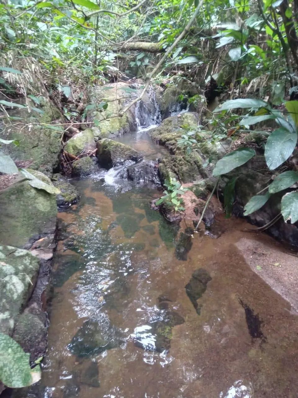 Vendo ou troco  3 terrenos 