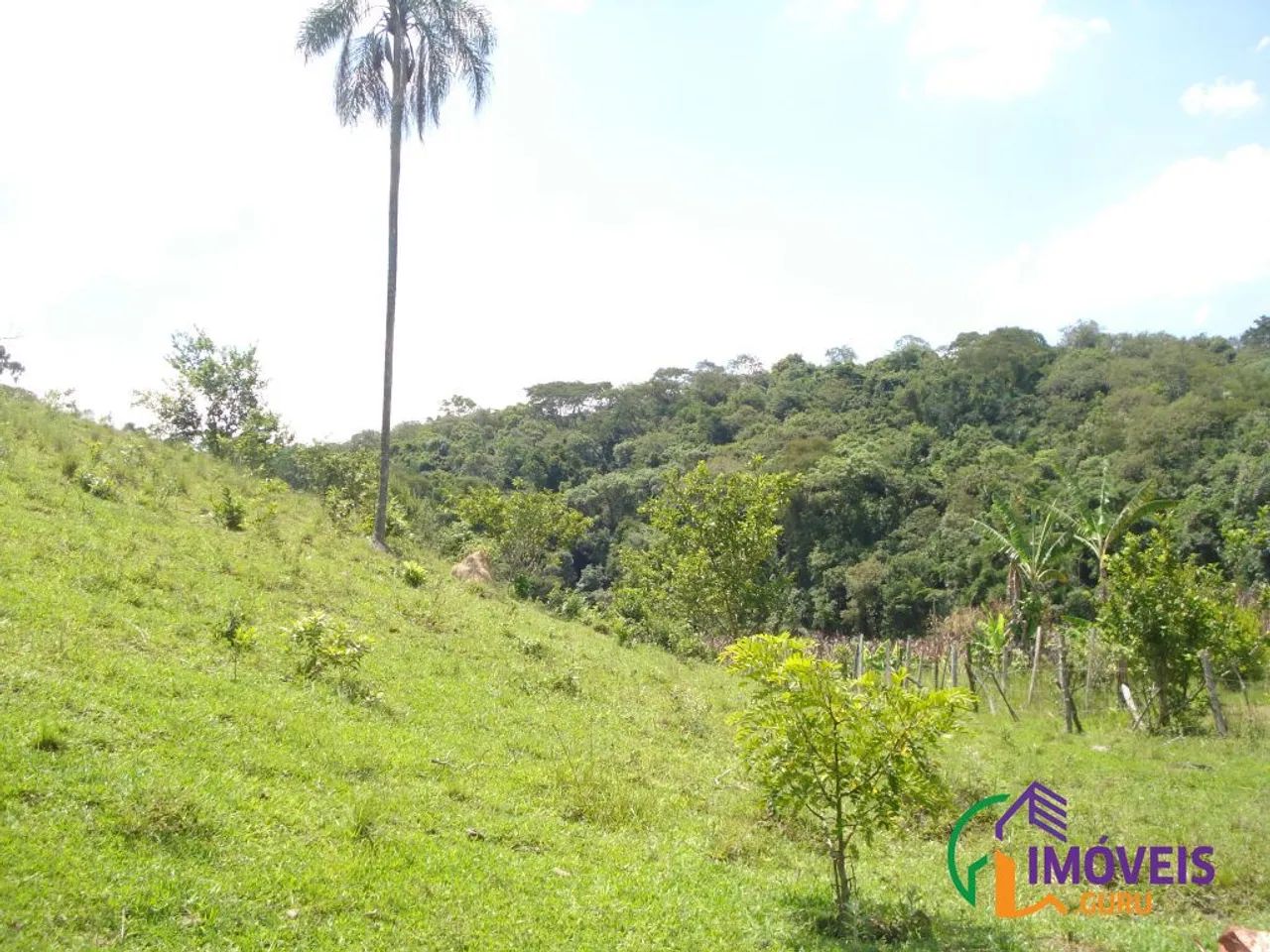 AREA - JARDIM SANTO ANTÔNIO - SP - Foto 4