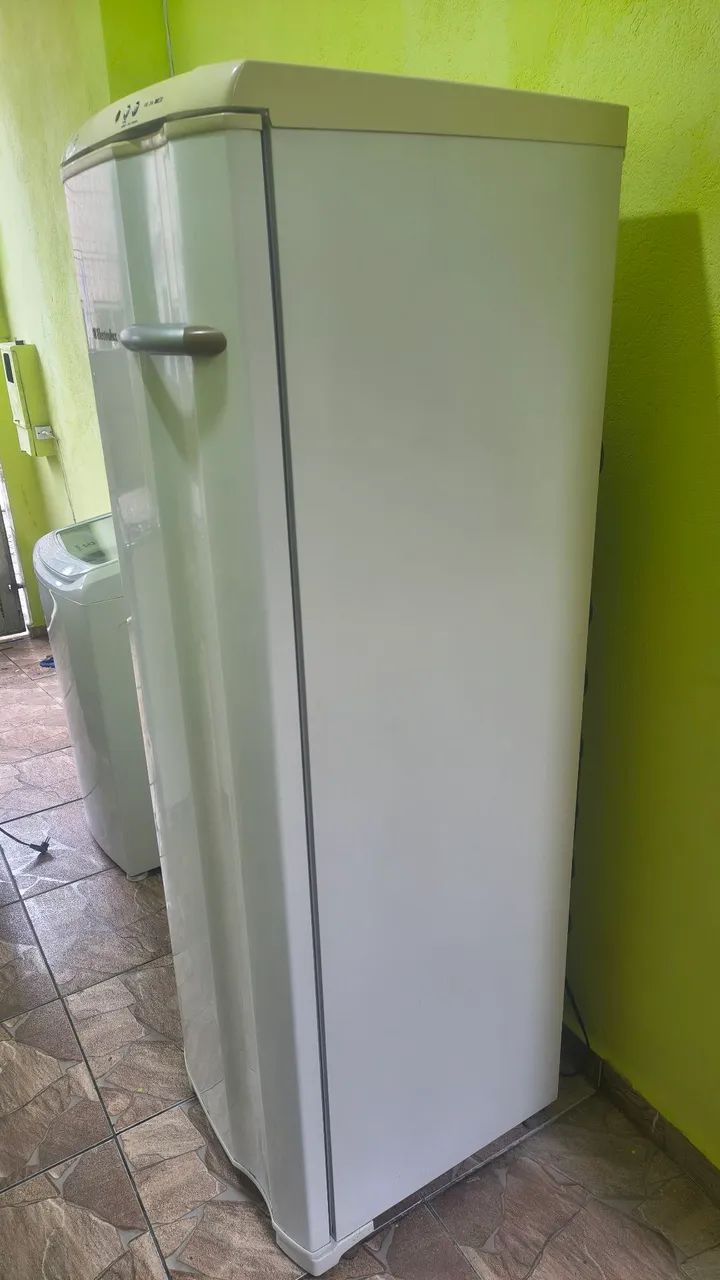 Freezer Vertical Electrolux FE26 - Foto 3