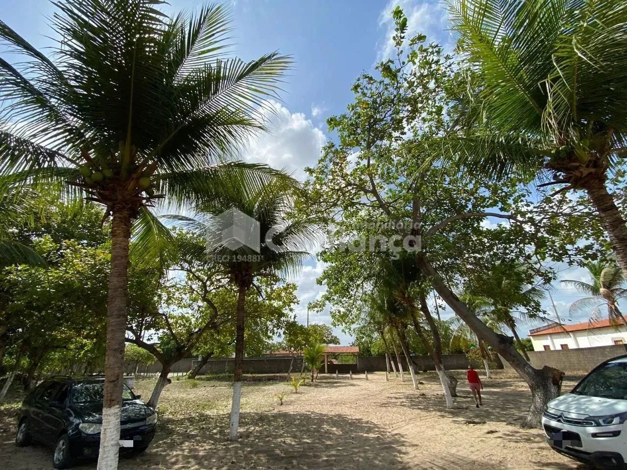 Sítio a Venda em São Gonçalo do Amarante/CE - Foto 2