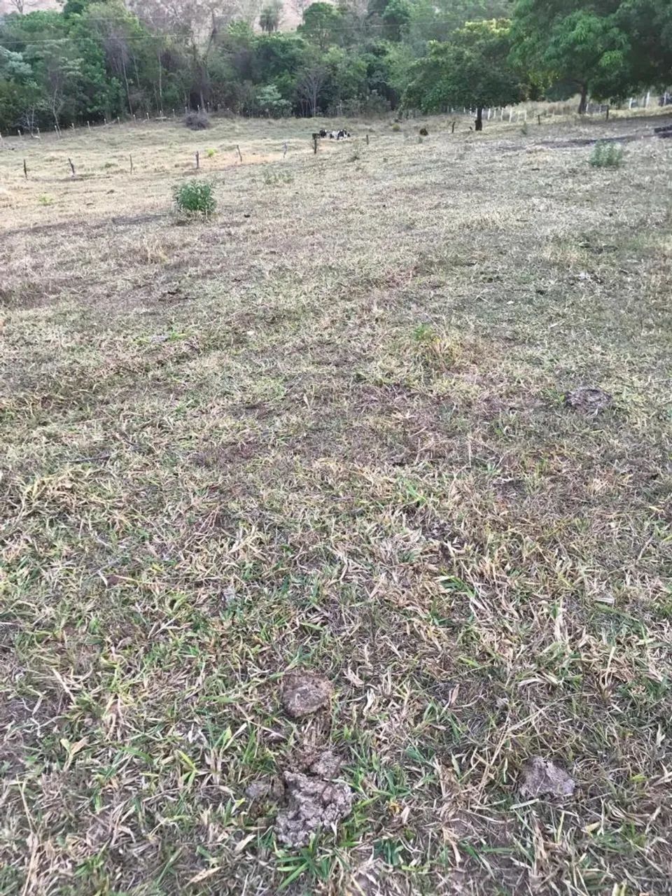 Vendo Terreno em Pirenópolis  - Foto 3