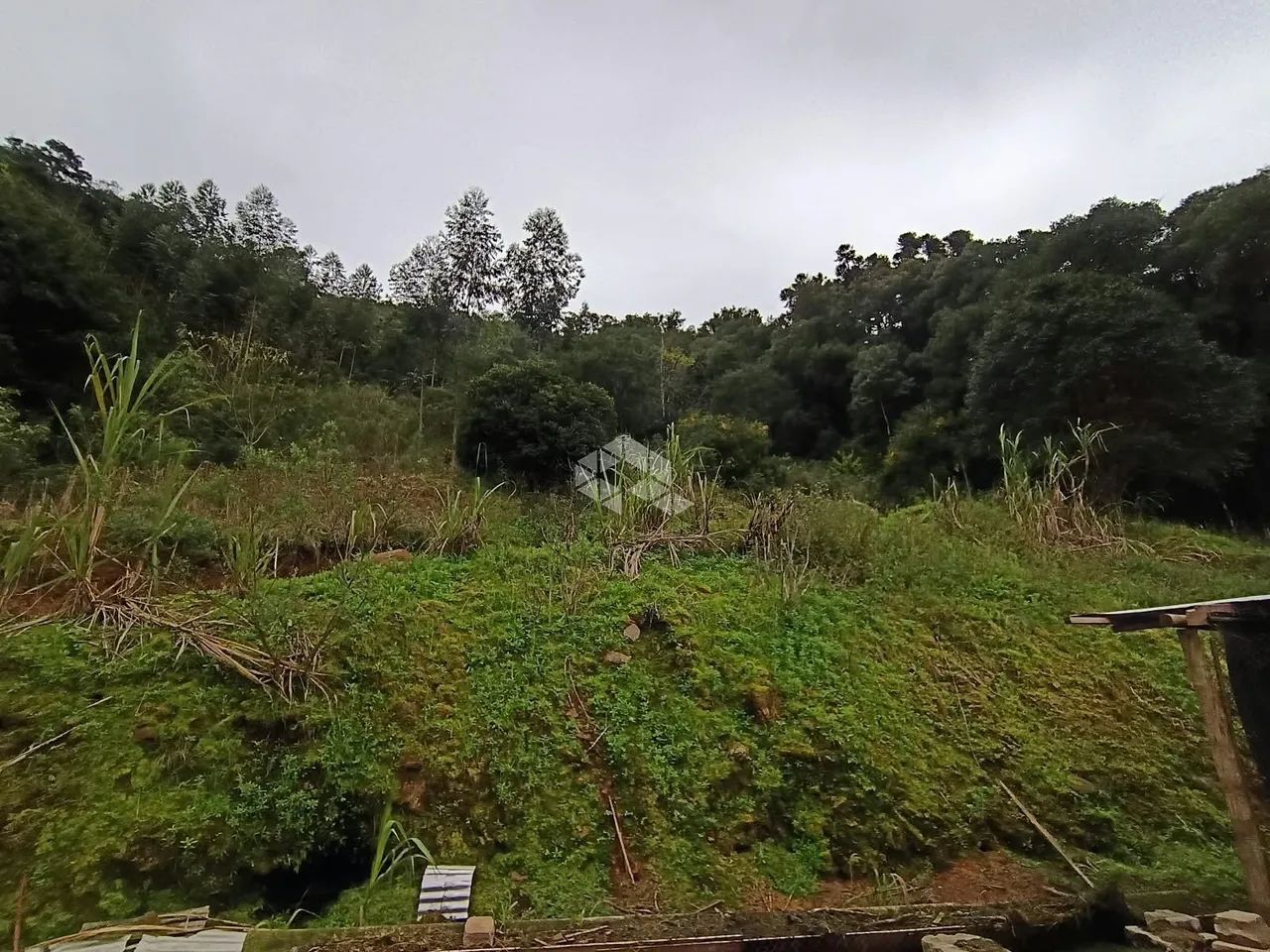 2ha em Pinto Bandeira - Foto 2
