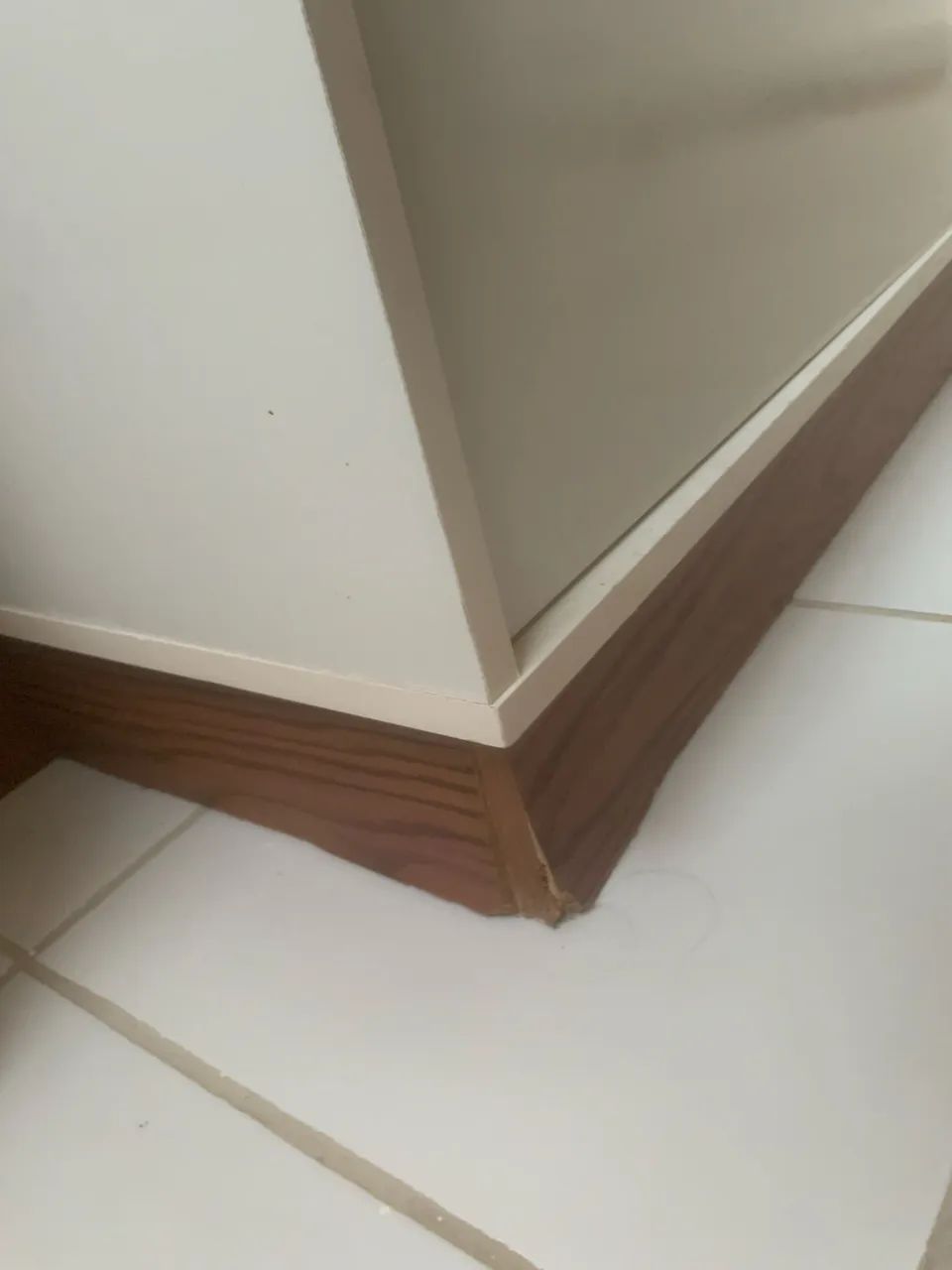 Rack  - Foto 3