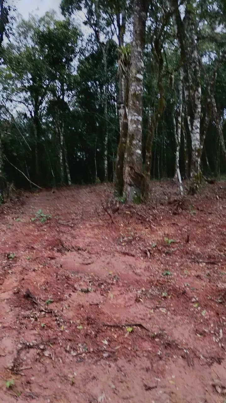 CHACARA  - Foto 5
