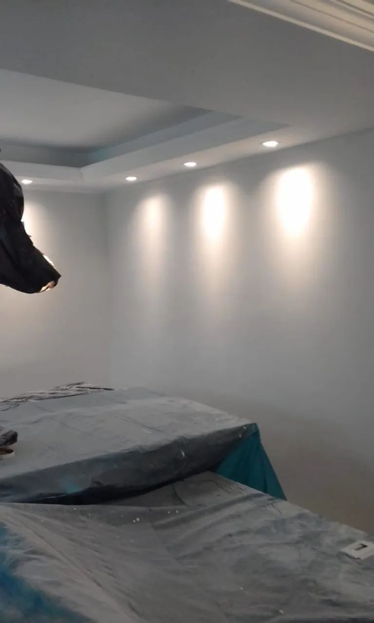 Pintor profissional  - Foto 2