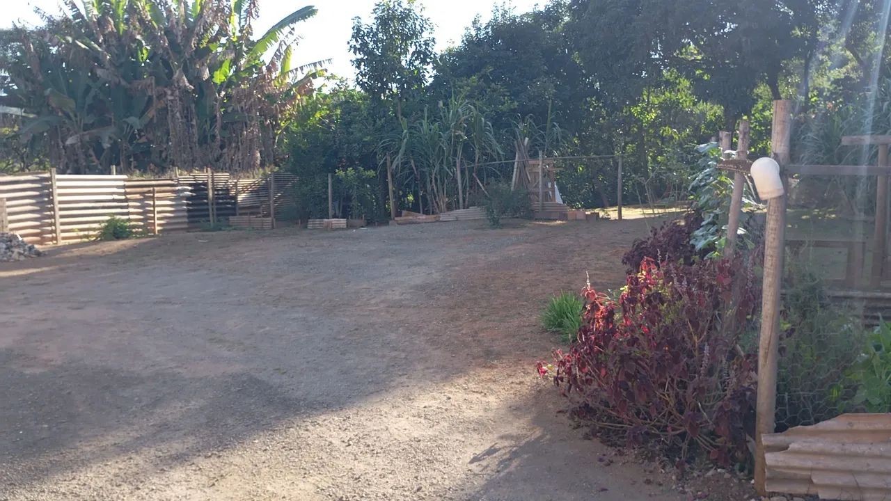 Lote