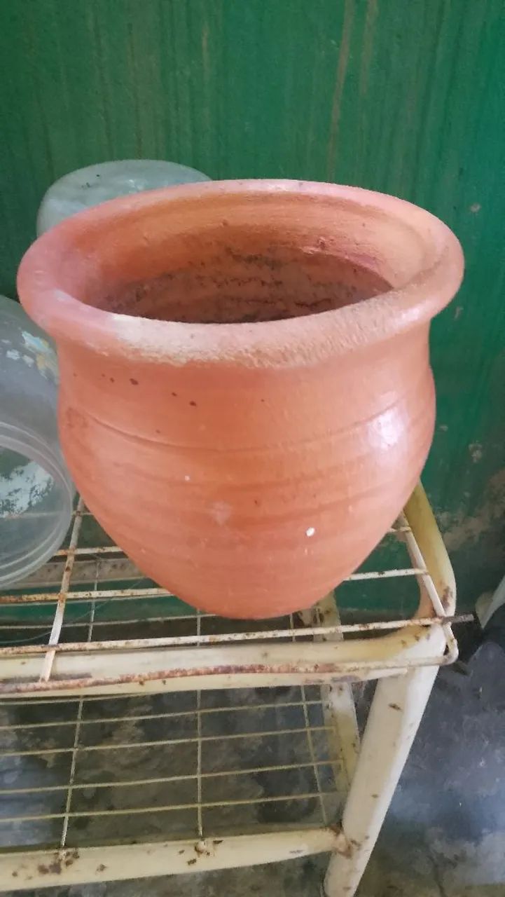 Vaso de barro planta