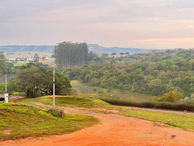 Foto - Pardinho - 