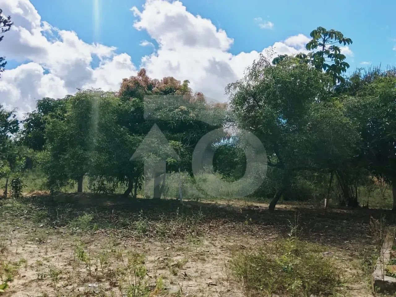 Terreno à Venda no Abaís: 1.970 m² Totalmente Aterrado e Planado - Foto 2