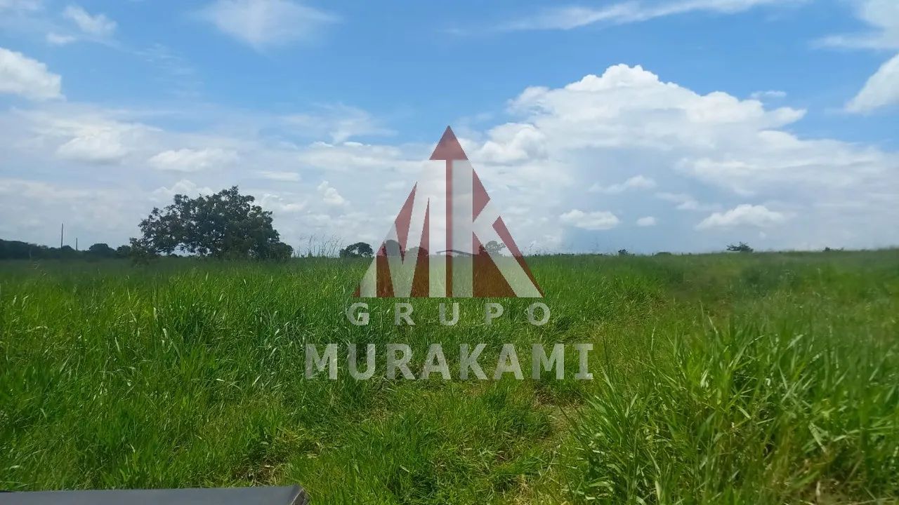 FAZENDA - SÃO GABRIEL DO OESTE - MS - Foto 3