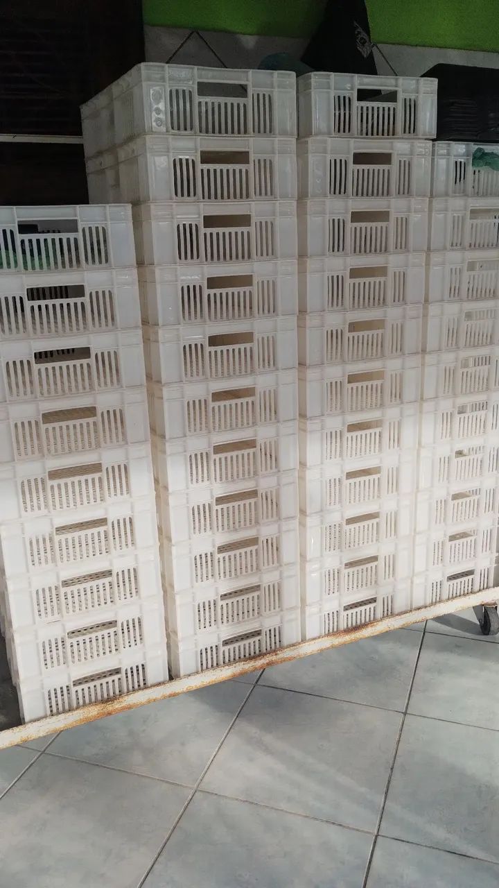 Vendo fábrica completa de salgados 