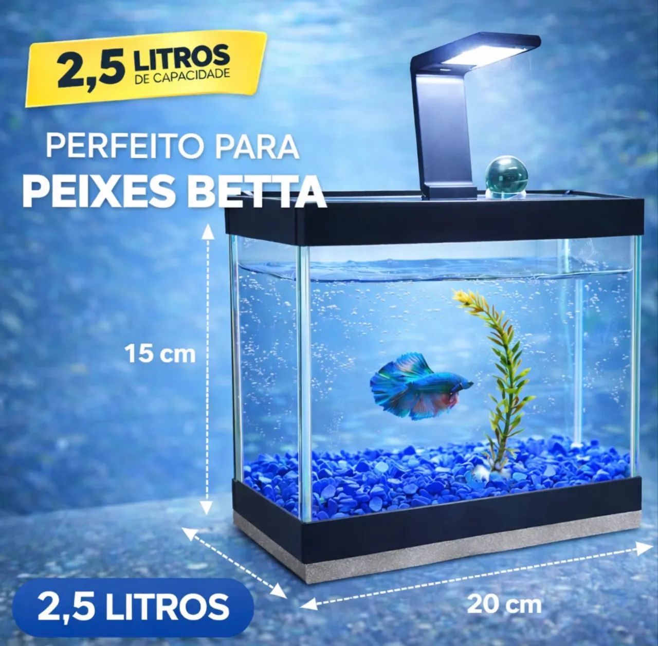 Aquário com aquecedor  - Foto 5