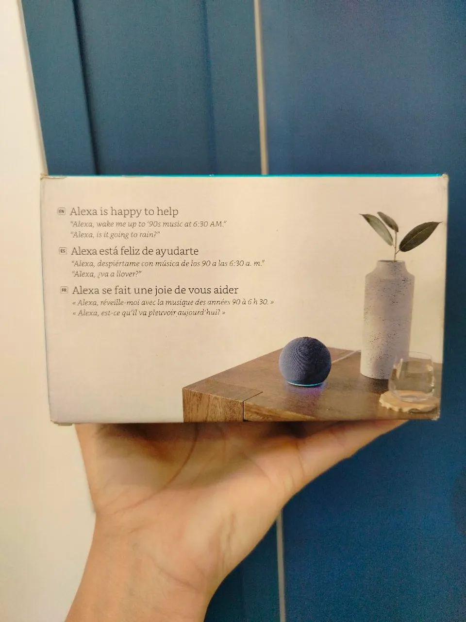 Alexa lacrada na caixa