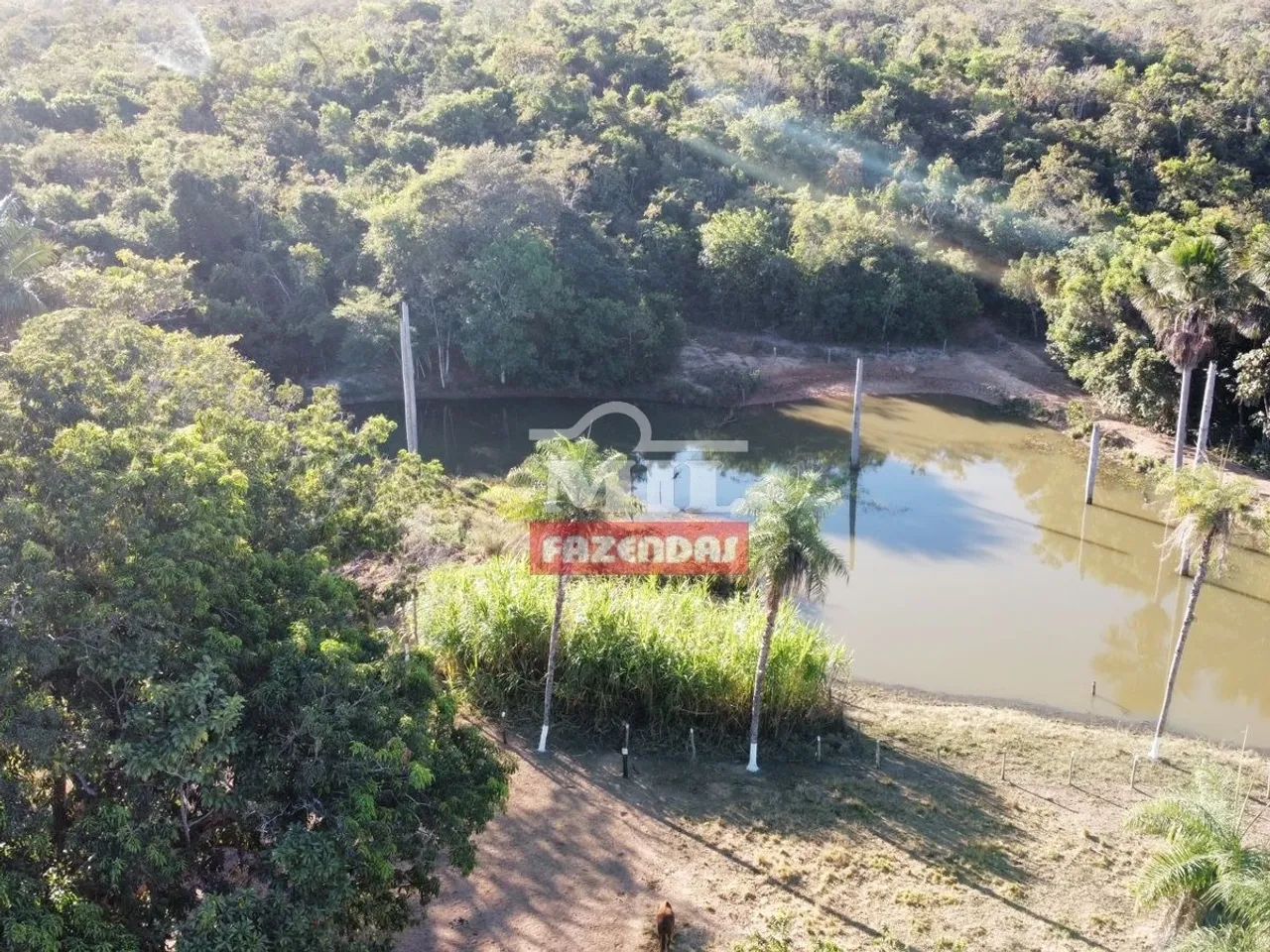 Fazenda em Figueirópolis - TO. Área Total: 177 Alqueires (856 Há). - Foto 5