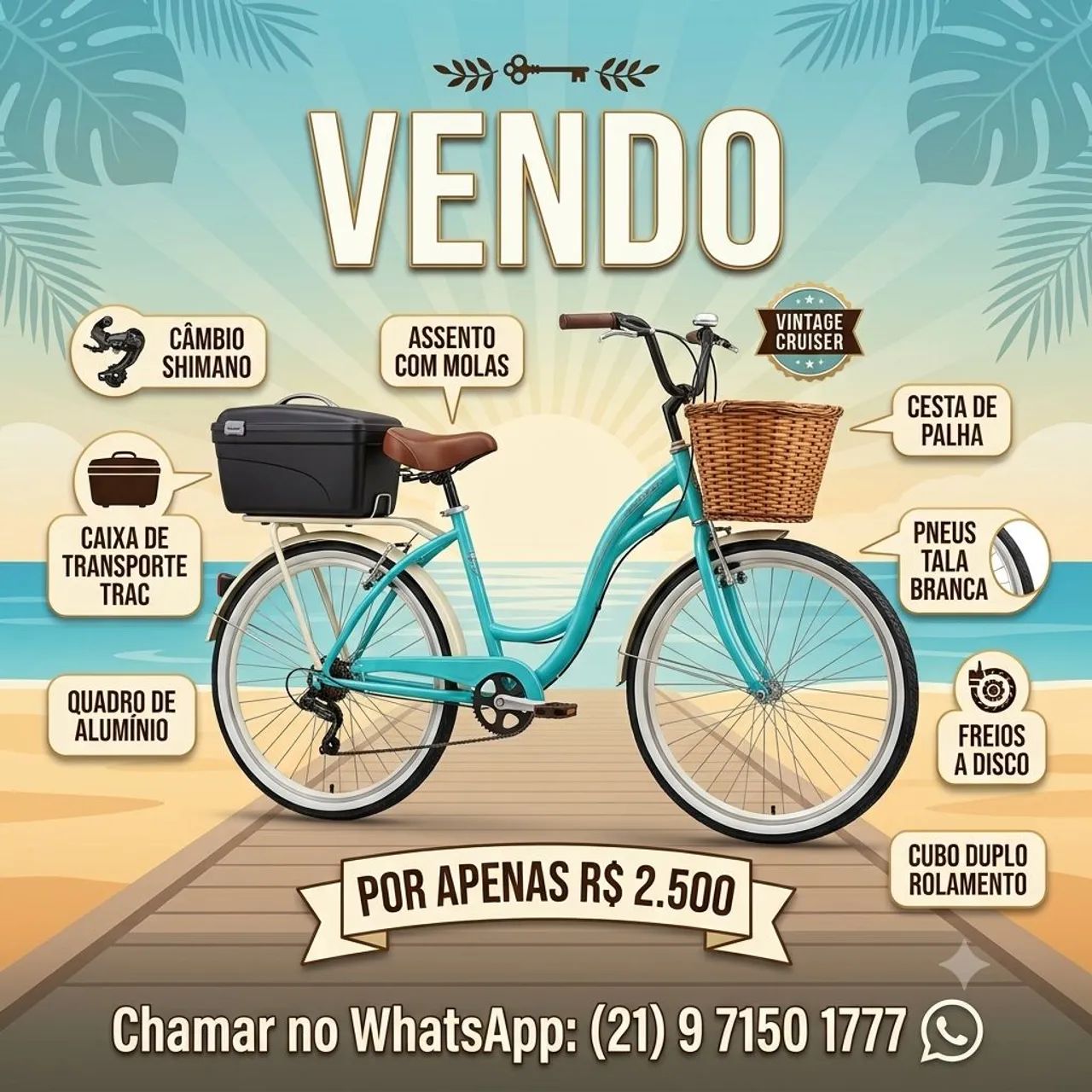 Bicicleta vintage 