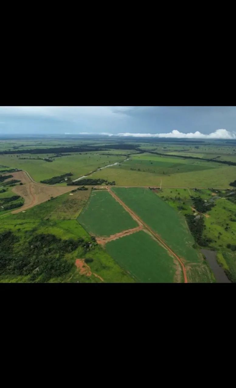 Drone dji mini se - Foto 5