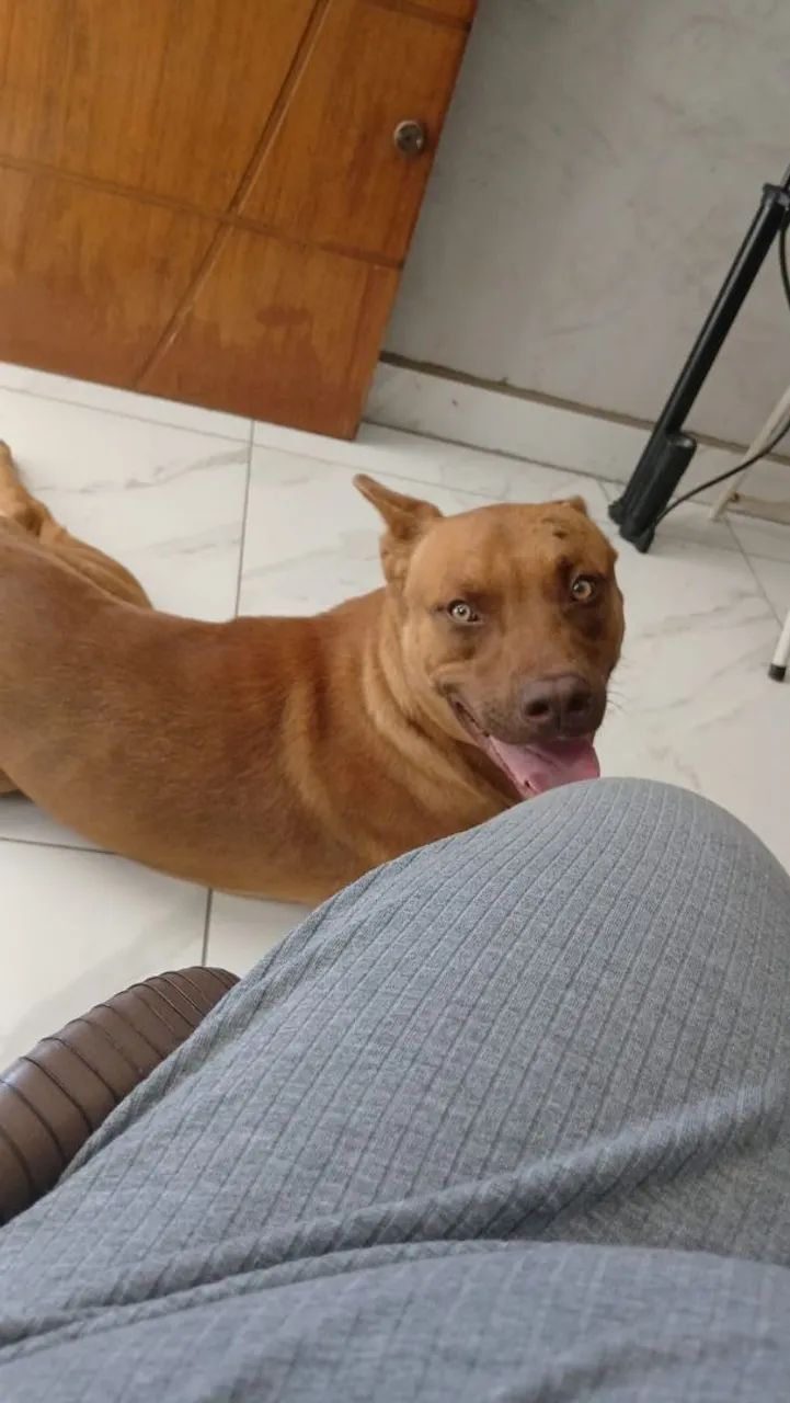 Procura-se uma namorada