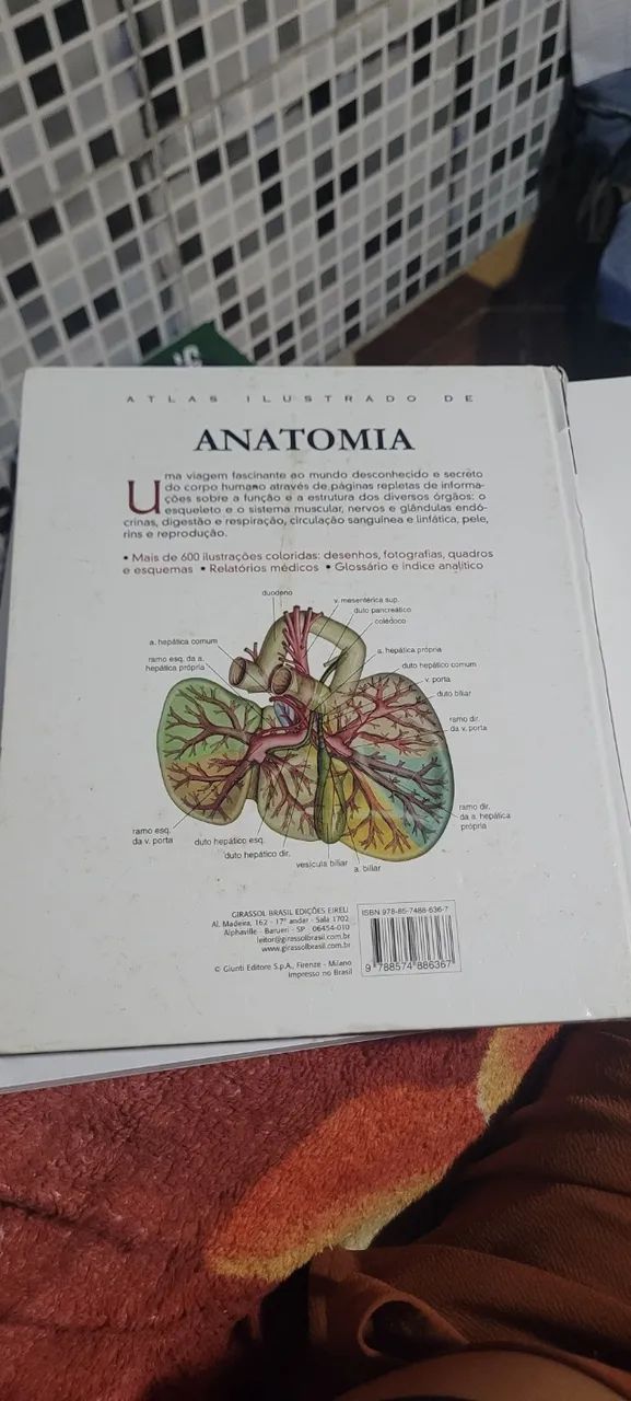 Livro Atlas Ilustrado de Anatomia - Foto 2