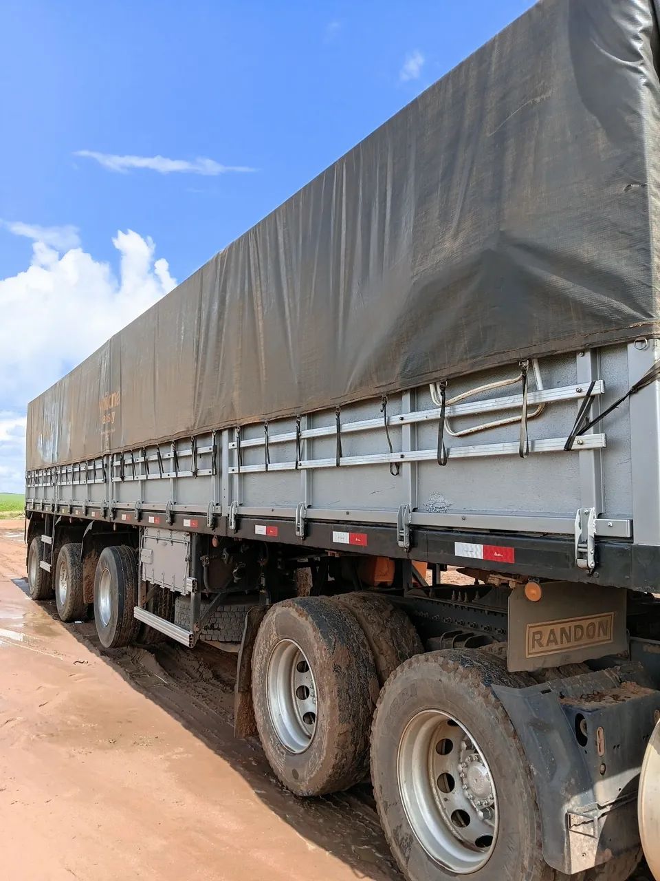 Carreta vanderleia 