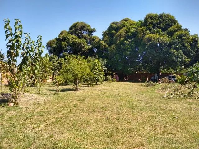 Vendo terrenos em Campo Lindo Seropédica a 100 metros do asfalto