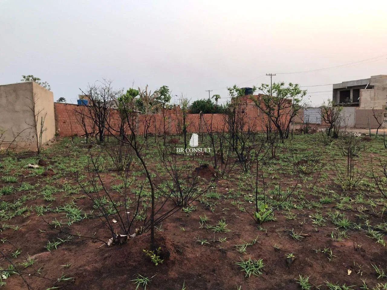 Terreno Jardim da Mooca - Foto 4