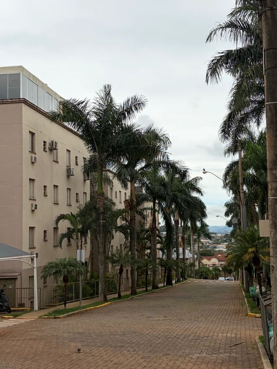 Foto - Ribeirão Preto - Jardim Castelo Branco