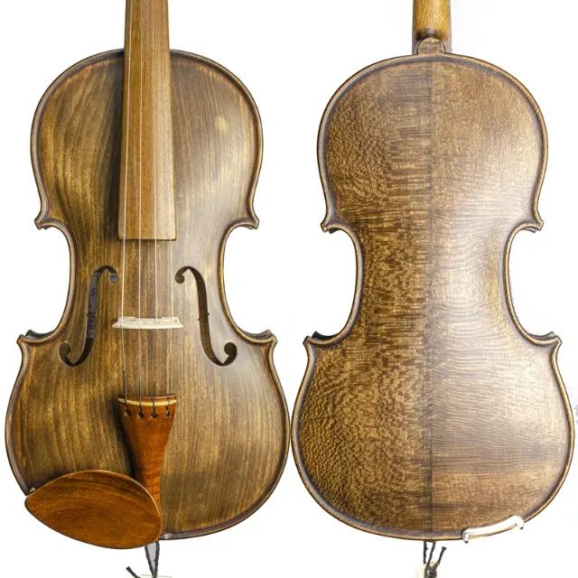 Viola de arco (Viola erudita)