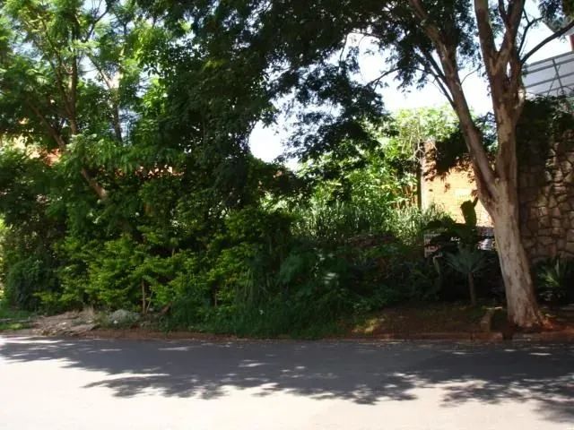 terreno - Parque Taquaral - Campinas - Foto 4