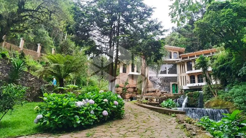 Casa Comercial 1200M² - para Alugar - Foto 4