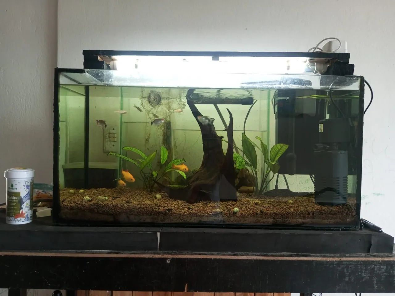 Aquário  - Foto 4