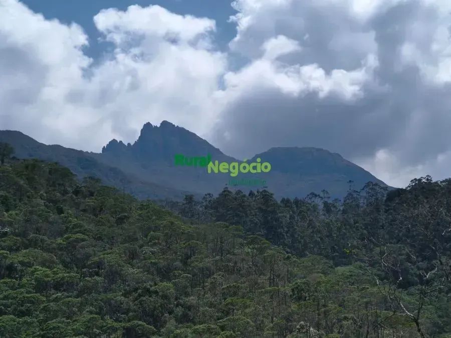 SÍTIO COM BELA TOPOGRAFIA E RIACHO NO PASSA VINTE EM CRUZEIRO-SP - Foto 5