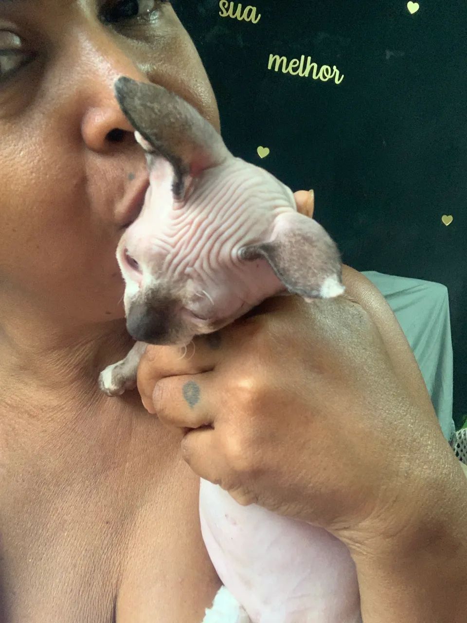 Fêmea 3 meses - Foto 5