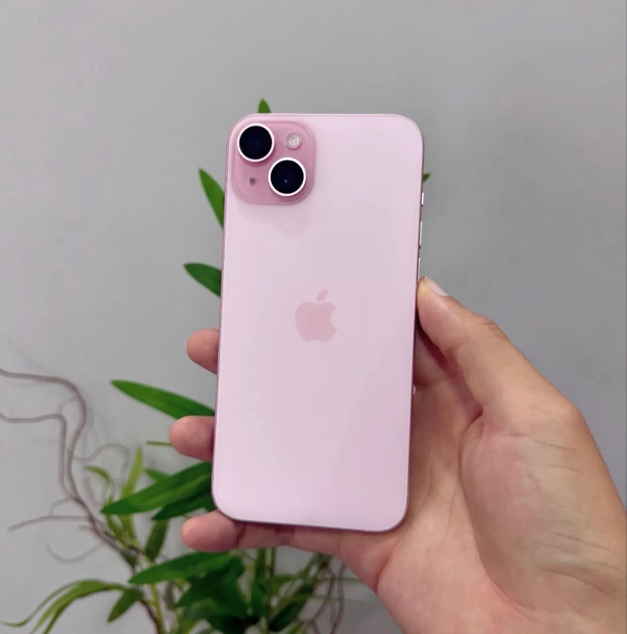 iPhone 15 Rosa 128gb 6 meses garantia 