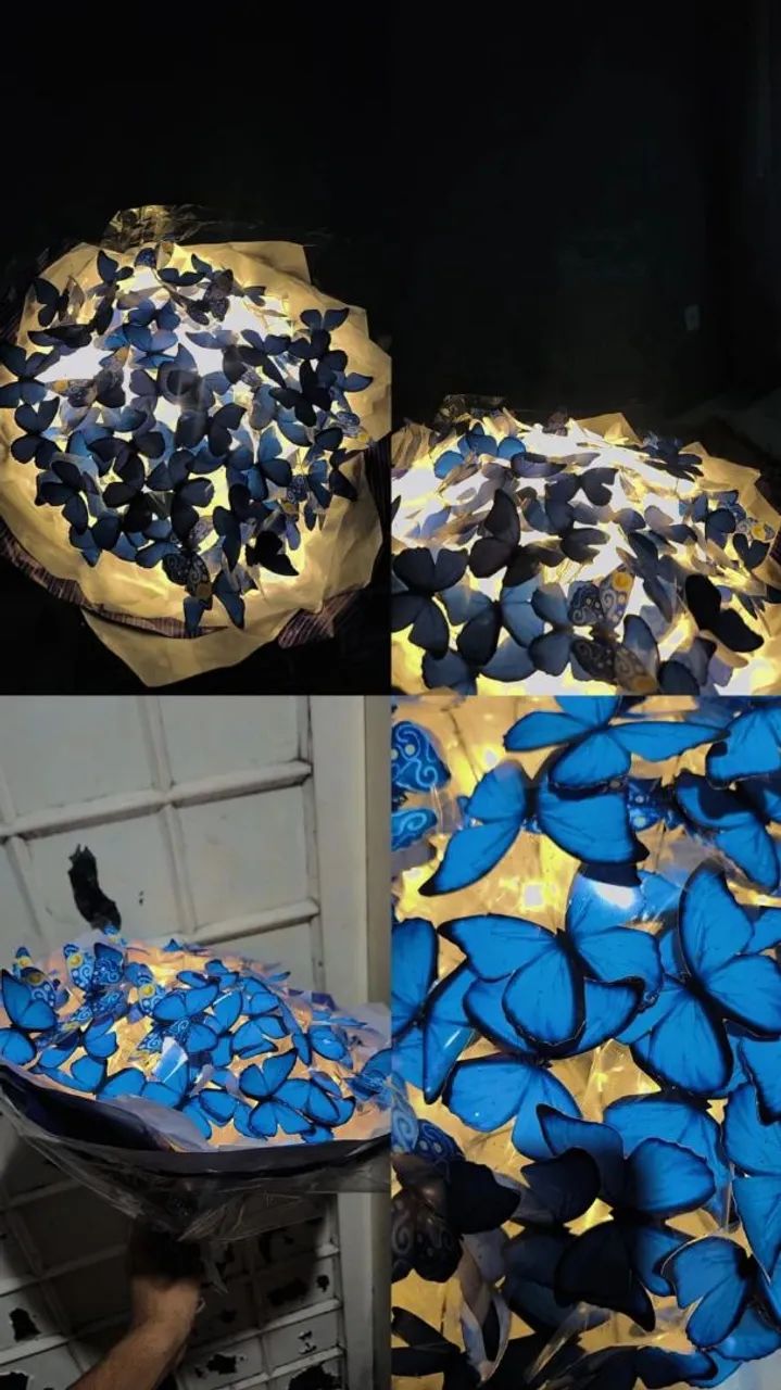 Buquê de borboleta  - Foto 2