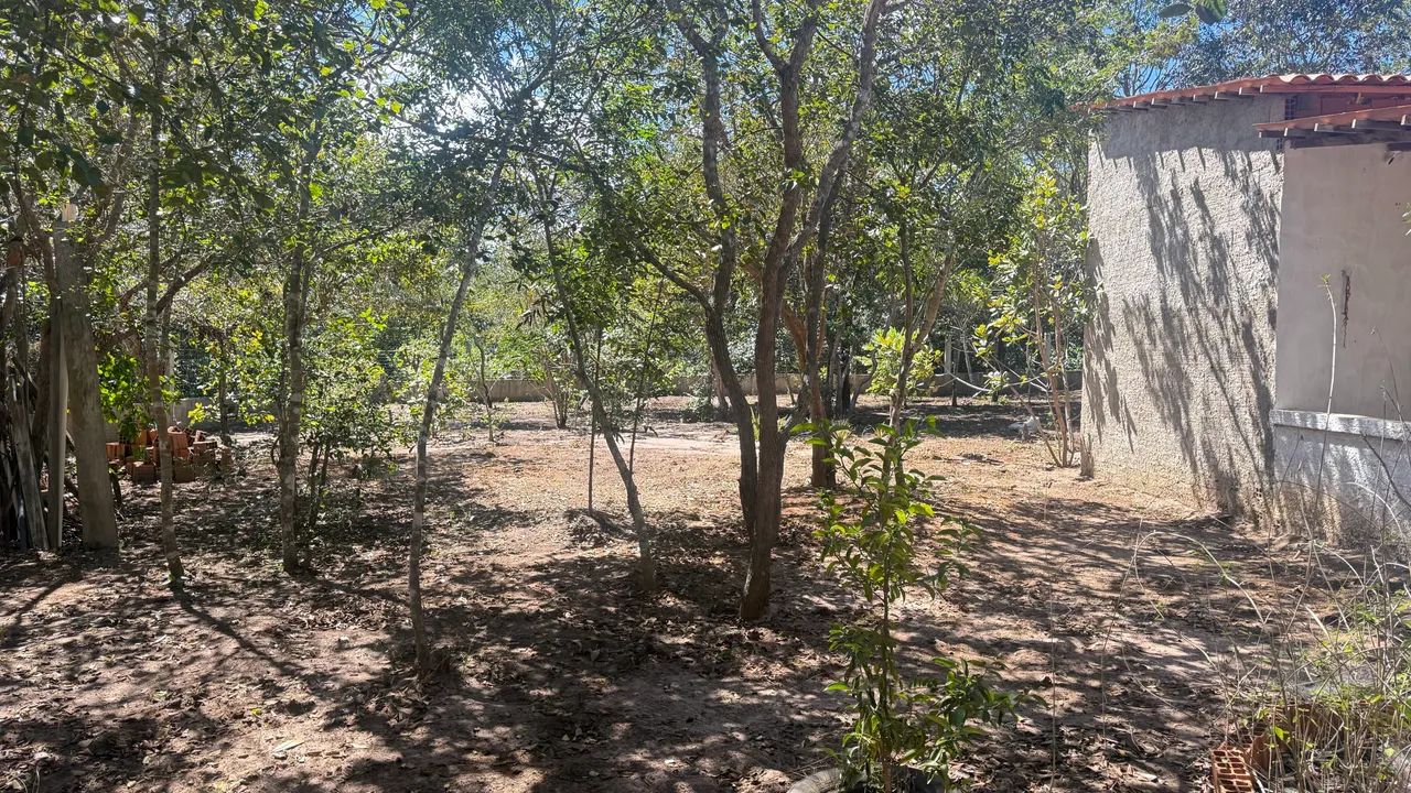 TERRENO COM CASA NA SERRA DO CRATO - Foto 3