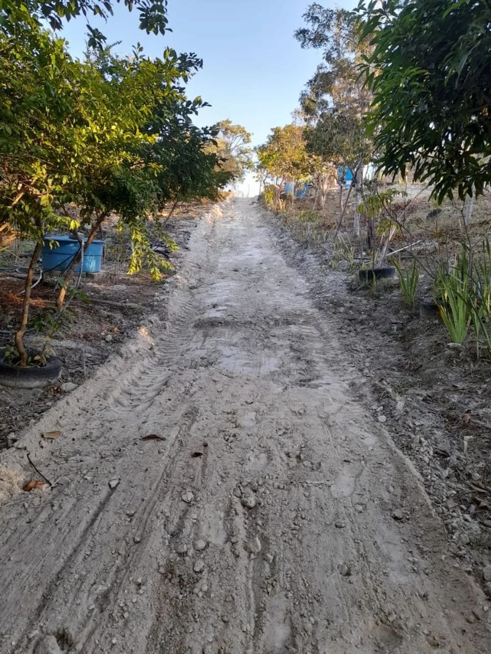Vendo sitio em (Canaã) Ravena! - Foto 3