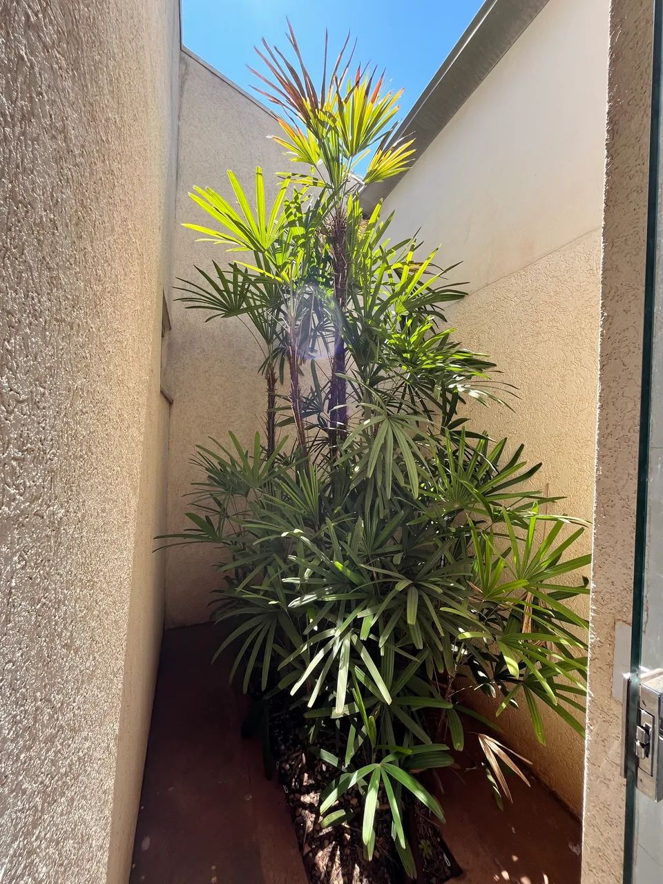 Casa para alugar  - Foto 3