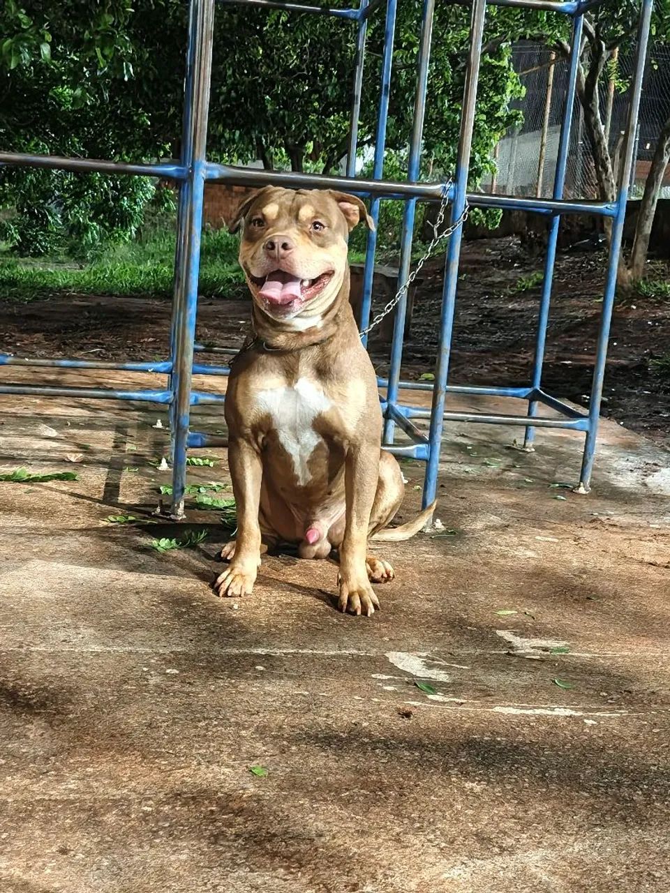 Procuro namorada  - Foto 4