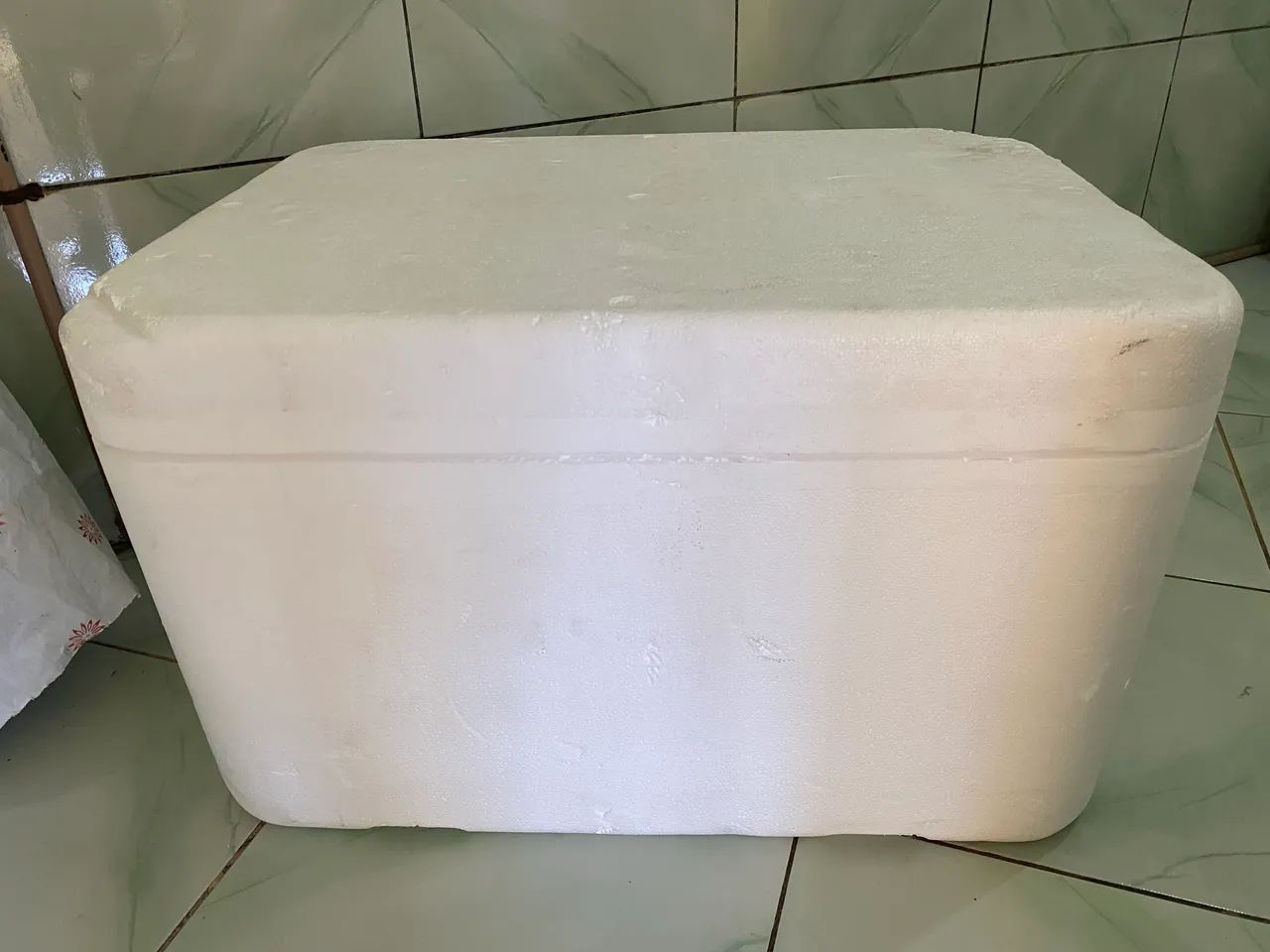 Caixa de Isopor - Foto 2