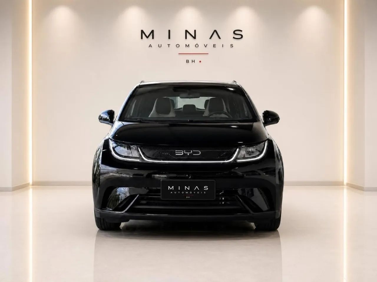 BYD Dolphin GS (Elétrico) 2027