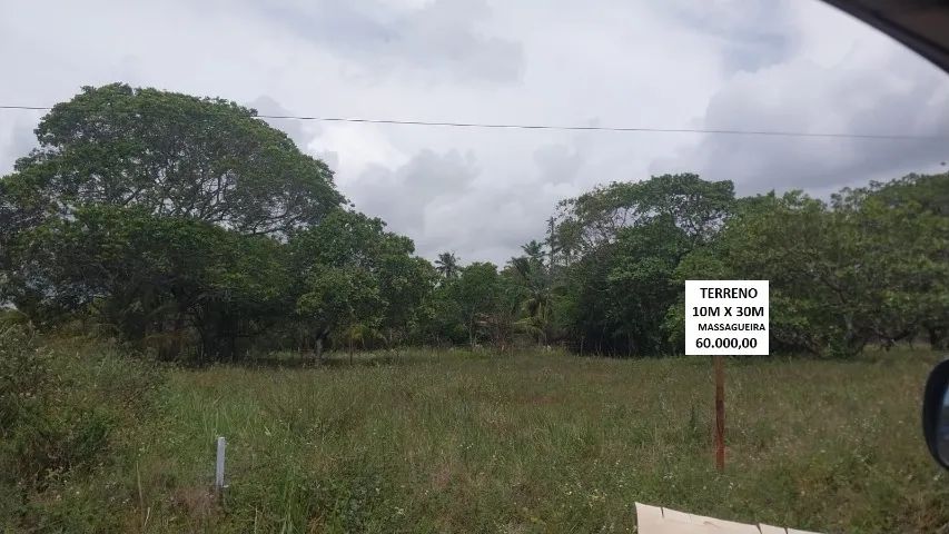 Foto - Marechal Deodoro - 