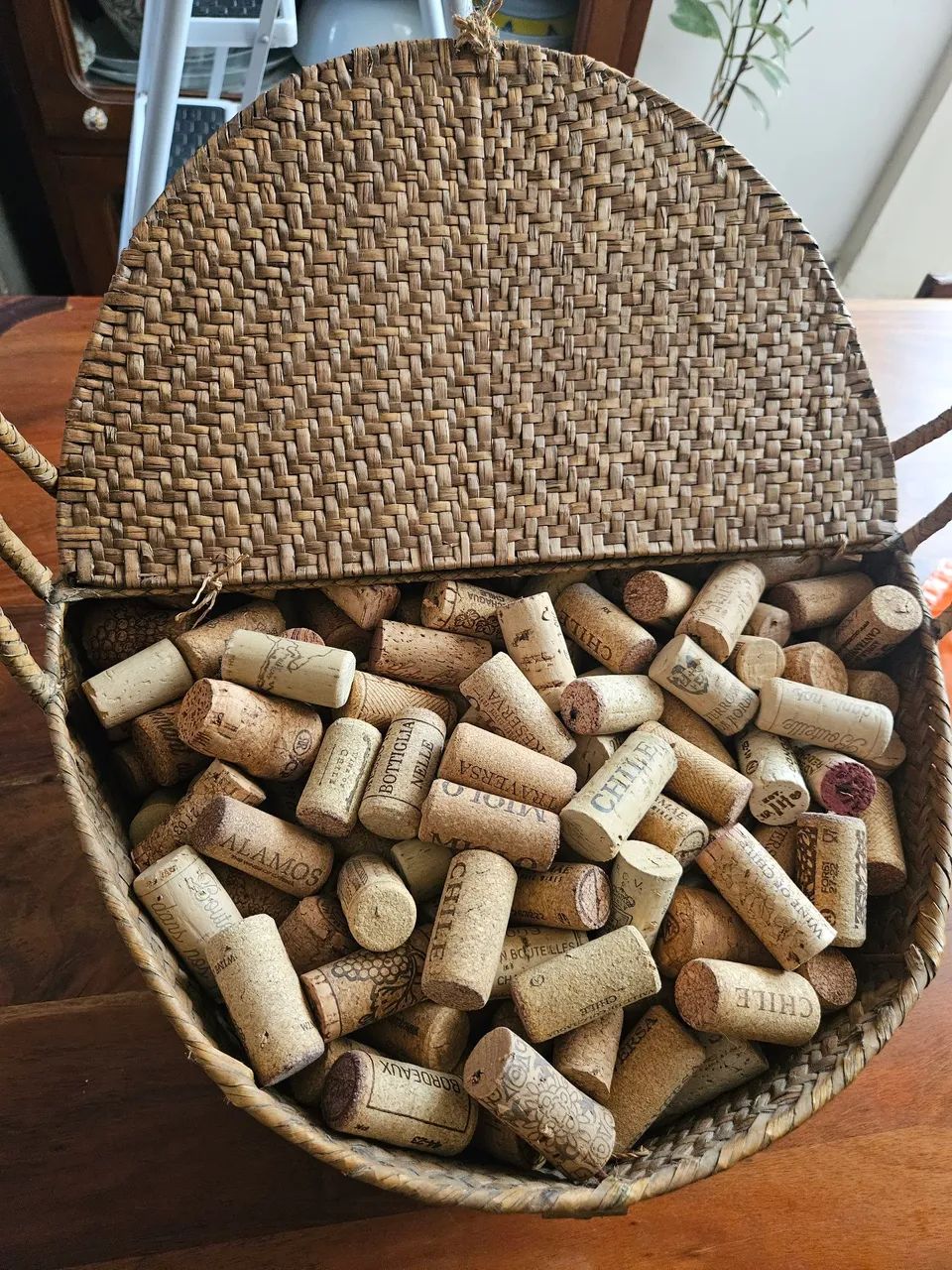 Rolhas de cortiça 