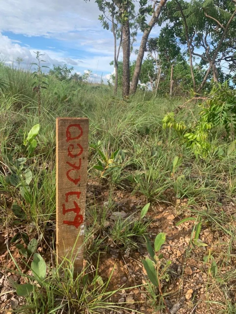 Foto - Novo Gama - Jardim Paiva