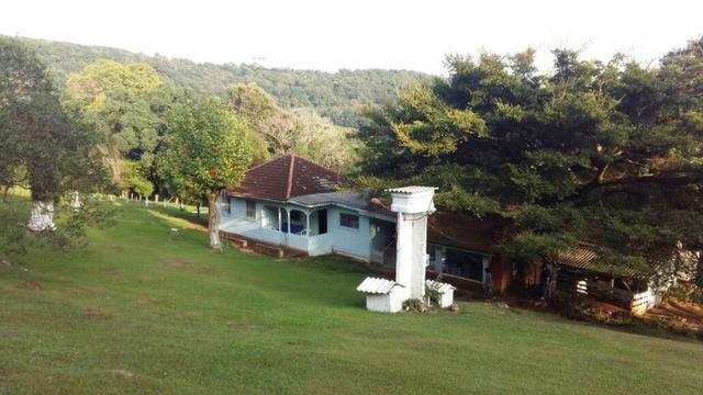 Lindo Sítio na Serra Gaúcha!! - Foto 5