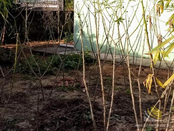 Casa para Venda em Imbituba, ALTO ARROIO, 3 dormitórios, 2 banheiros, 2 vagas - Foto 15