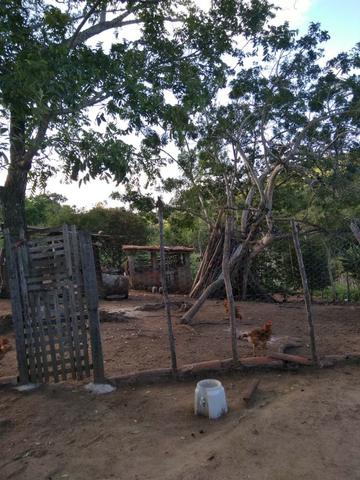Casa Para Final de Semana, Feriados e Carnaval - Limoeiro,PE - Foto 10