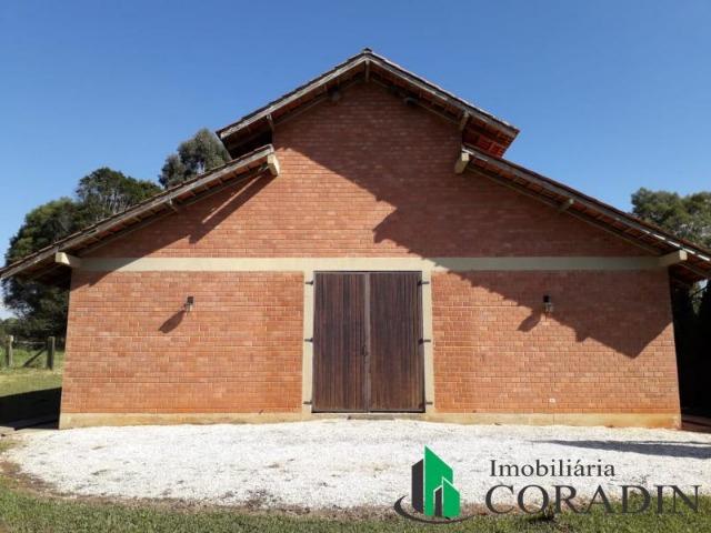 Haras em Campina Grande do Sul - Foto 20