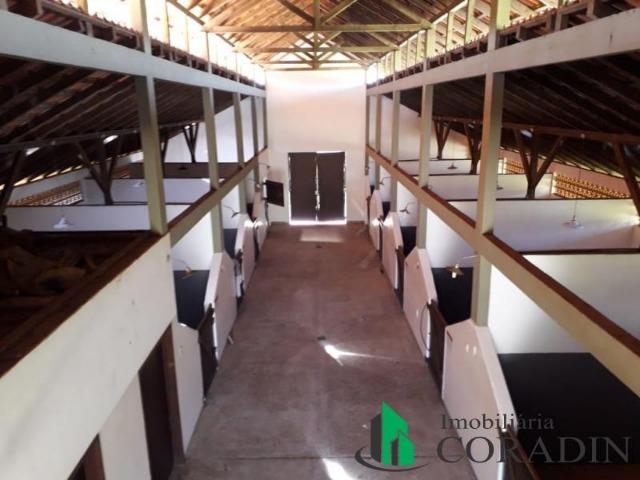 Haras em Campina Grande do Sul - Foto 3